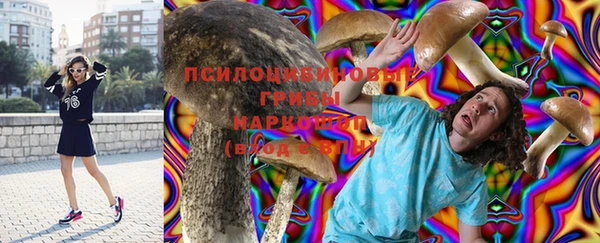 ГАЛЛЮЦИНОГЕННЫЕ ГРИБЫ Алексеевка