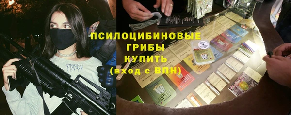 ГАЛЛЮЦИНОГЕННЫЕ ГРИБЫ Алексеевка